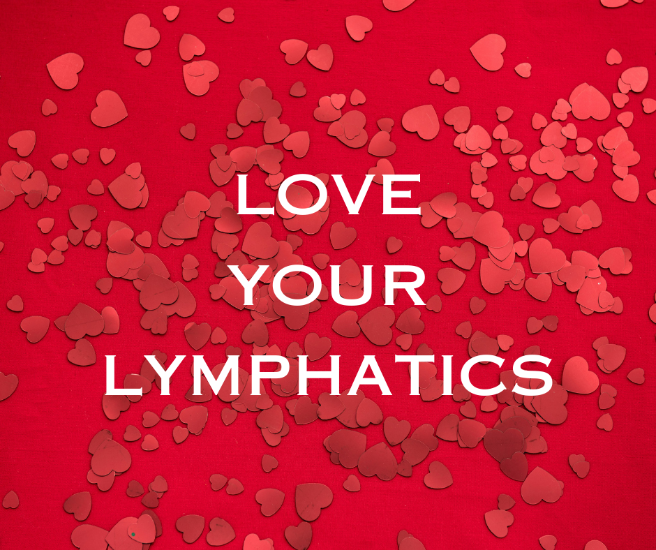 The Unsung Hero: The Lymphatic System