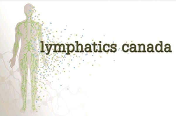 The Lymphatic System Explained: How to Keep Your Body’s Detox Pathways Flowing