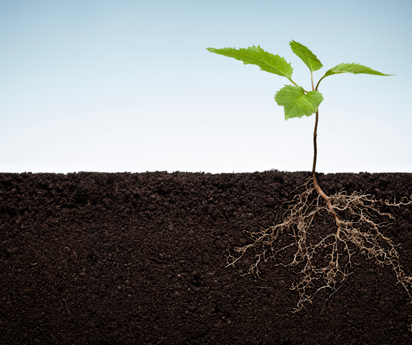 You’re Not Behind. You Were Surviving.